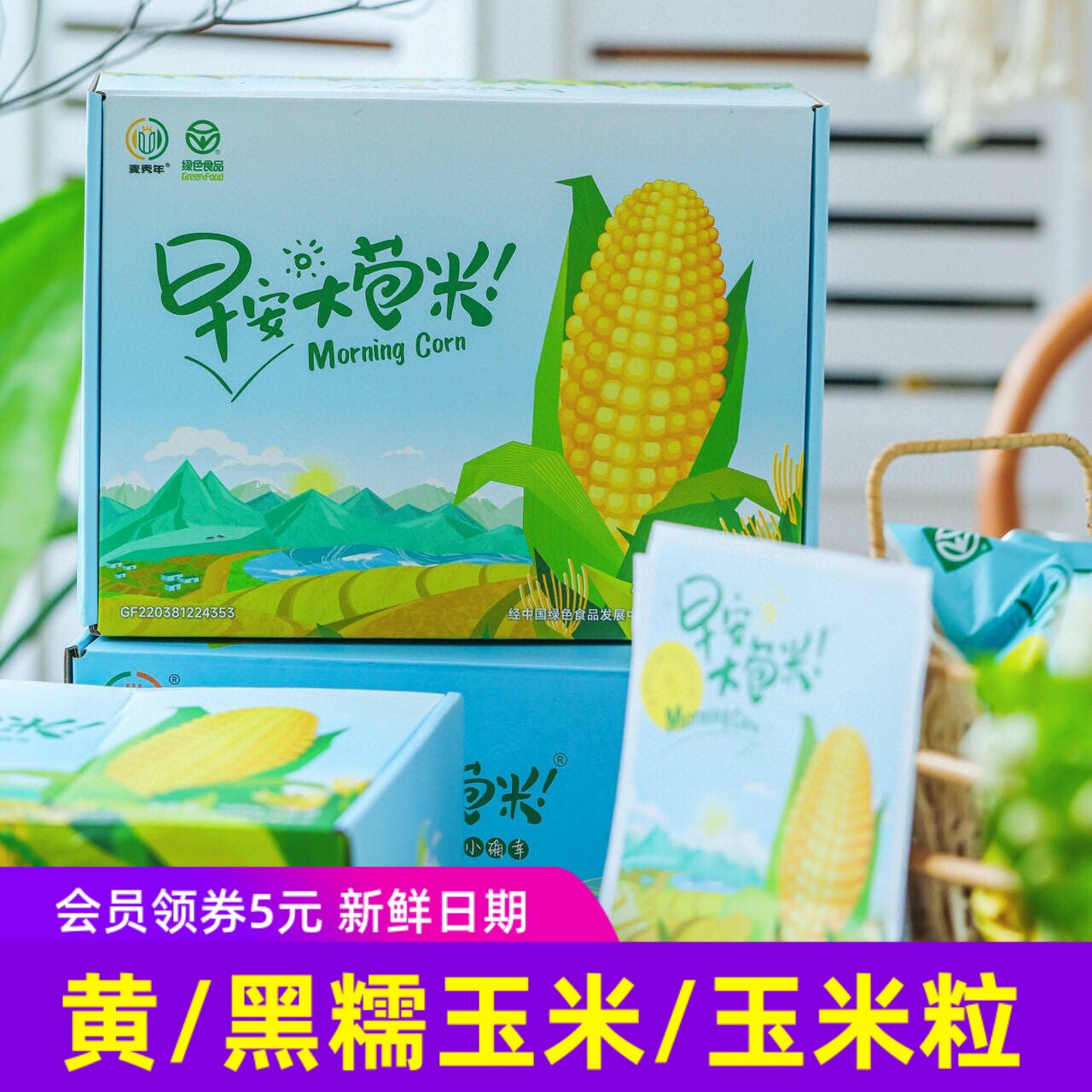 麦秀年早安大苞米黄糯玉米 血糯黑玉米娃娃宝宝版 玉米粒东北特产