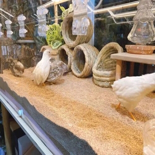 芦丁鸡垫料核桃砂除臭发酵床宠物兔子仓鼠核桃壳猫砂宠物用品磨料