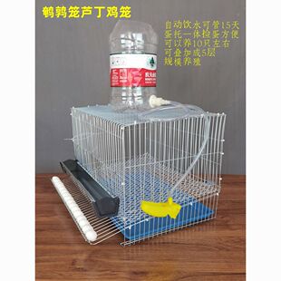 芦丁鸡养殖笼小型滚蛋鹌鹑笼家庭养殖小鸡蛋鸽鹧鸪鹦鹉鸟类下蛋笼