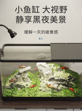 鱼缸小型客厅2024新款过滤制氧一体机造景全套生态桌面养鱼缸家用