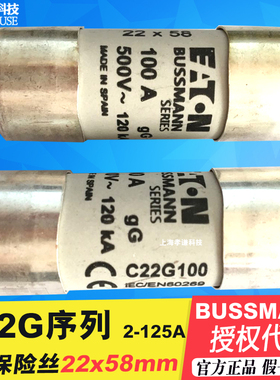 BUSSMANN保险丝管C22G125-G100-G80-G63-G50-G40-G32-G25 22x58mm