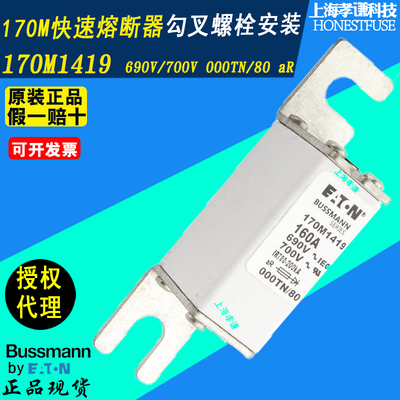 熔断器BUSSMANN170M1418