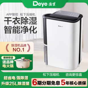 T22A3 德业Deye空气除湿机25升轻音智能家用抽湿干燥小型神器DYD