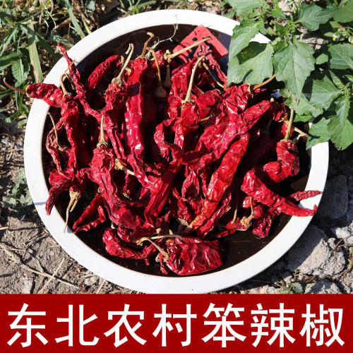 东北笨辣椒干红辣椒干自然晾晒