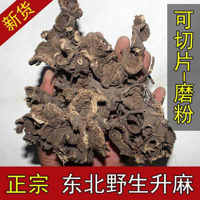升麻芽,升麻,绿升麻_大山谷图库