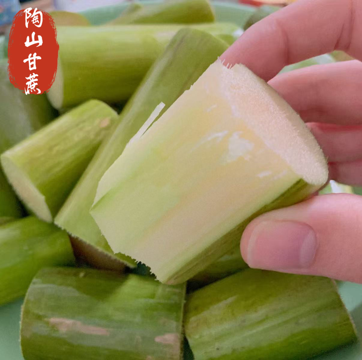 正宗陶山甘蔗新鲜水果青皮绿皮果蔗真空包装当季时令无节果肉甘蔗