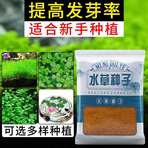 鱼缸专用生态水草泥玻璃瓶造景