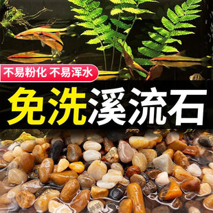 免洗溪流石底砂鱼缸专用原生水族鱼缸多肉铺面石子鹅卵石溪流沙