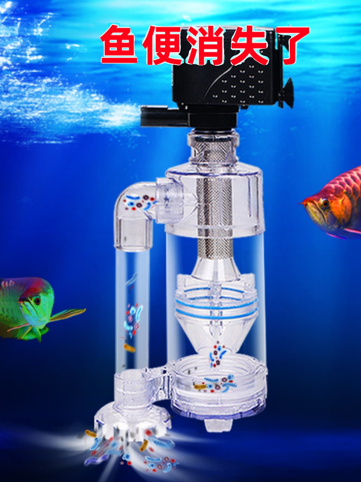 鱼马桶粪便分离器自动吸便收集器底滤三合一循环泵上滤鱼缸过滤器