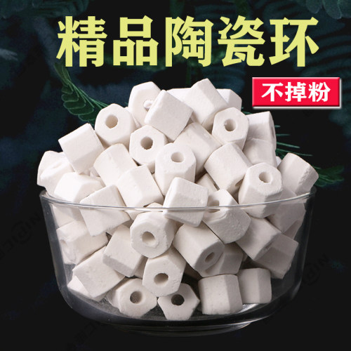 精品陶瓷环培养消化细菌精挑细选