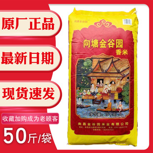 向塘金谷园香米25kg50斤江西南昌市籼米新米食堂家庭软糯