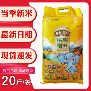 华享瑞禾候鸟稻田象牙金粘10kg20斤籼米南昌大米煲仔饭软糯新米