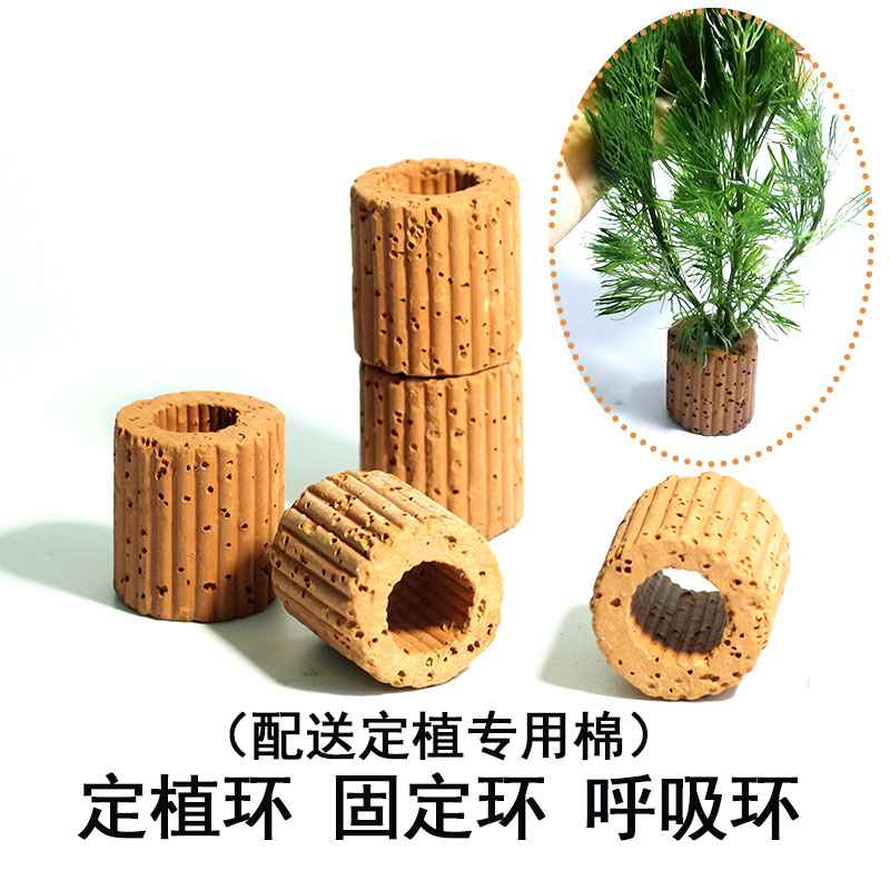 水草定植环固定环弱酸造景装饰配
