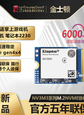 金士顿NV3SM3固态硬盘1TB掌机扩容2230 m.2 NVME笔记本PCIe4.0 2T