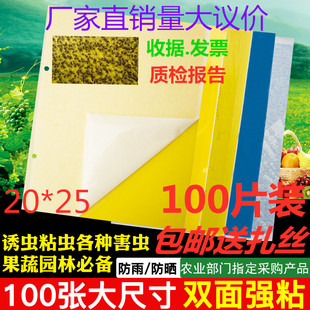 包邮 粘虫板黄板双面诱虫板果园蓟马飞虫粘虫蓝黄板沾果蝇针蜂大棚