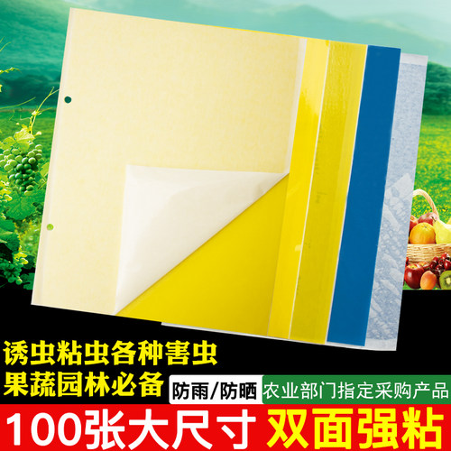 双面果园大棚包邮粘虫板