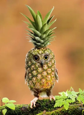 新款装饰品摆件菠萝猫头鹰花园