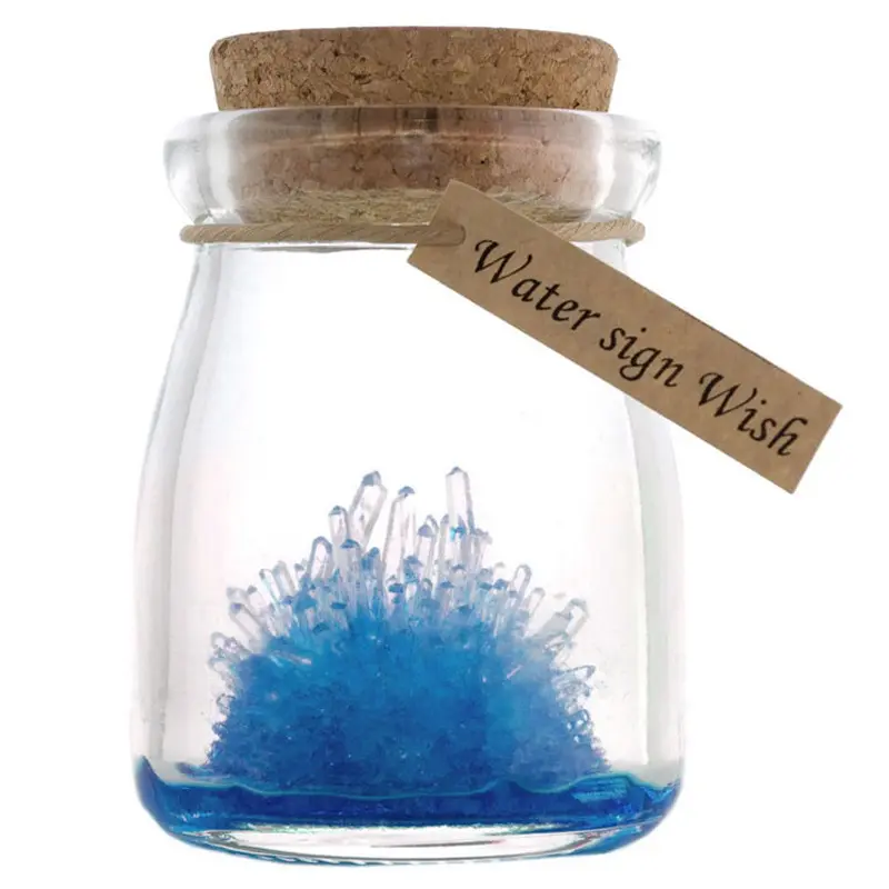 节日祝福礼物品儿童科学实验玩具自种水晶种植许愿水晶瓶水晶刺猬
