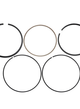 适用于VT600C Shadow VLX 600 89-07年 XL600V 75mm活塞环组件