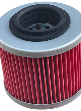 BMW F/G/DS/650 CCM R30/RS/Supermoto/Trail/604 DS650 机油滤芯