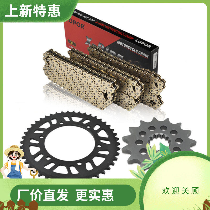 KLX250 KLX250R KLX250ES KLX250SR 91-16前后链轮520链条套件