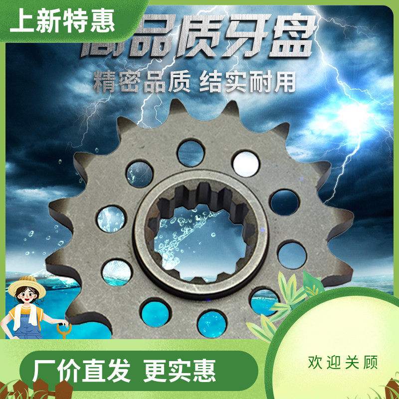 大黄蜂CBR900 CBR929 CBR954 CBR/VTR1000钱江小链盘小齿链轮