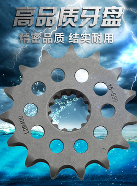 摩托链盘GSF600 GSF650 GSF1200 GSX1200小齿 小链轮 牙盘530链条
