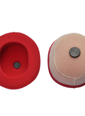 TC65 SX640 LC4 Duke Adventure Duke-E 625 SMC SXC  空气滤芯