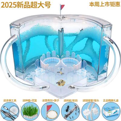 蚂蚁工坊大型蚁巢城堡看蚂蚁挖洞