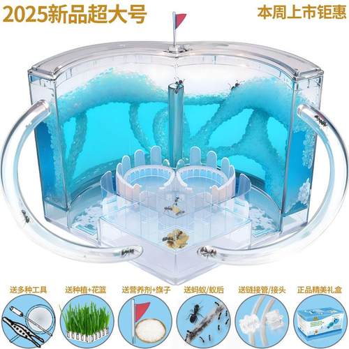蚂蚁工坊大型蚁巢城堡看蚂蚁挖洞