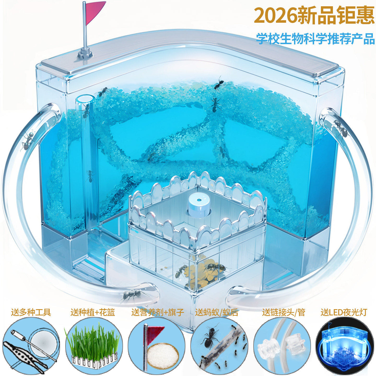 超大号蚂蚁工坊城堡生态巢活体小宠观察盒玩具别墅庄园弓背蚁后窝