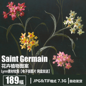 Saint Germain 电子图片 法国 花卉植物图案纹饰 水粉画参考素材