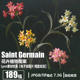 Saint Germain 电子图片 法国 花卉植物图案纹饰 水粉画参考素材