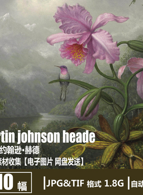 马丁·赫德 martin johnson heade 美国奇幻花鸟风景静物油画素材