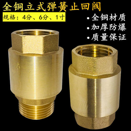 黄铜立式止回阀DN15-DN50