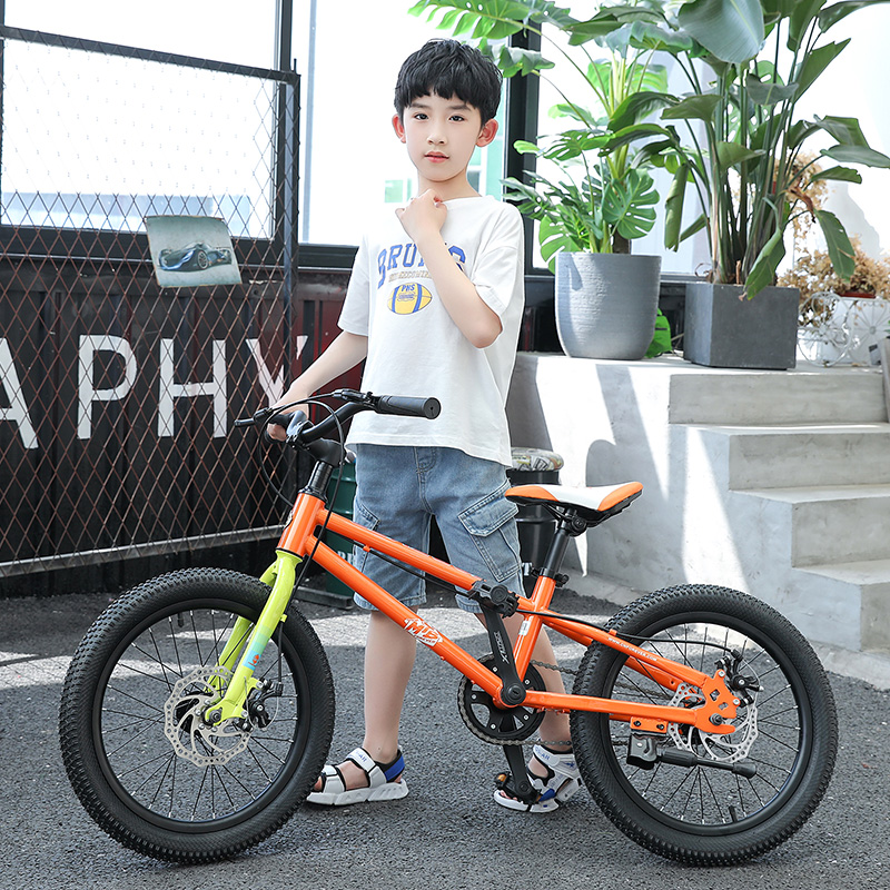 上海牌童自三好学生车山地脚车男女孩6岁以上女儿童行踏车小学生