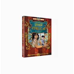 【库存 瑕疵】闪客商店 8 召暗之灵 (意)帕尔多文尼高·巴卡拉里奥著 安徽少年