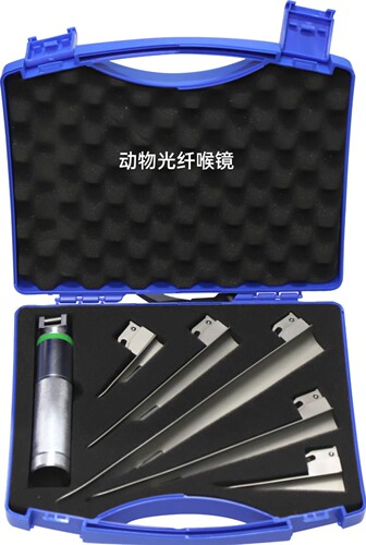 纯铜动物喉镜 宠物用喉镜 动物检查喉镜 动物光纤喉镜开口朝右