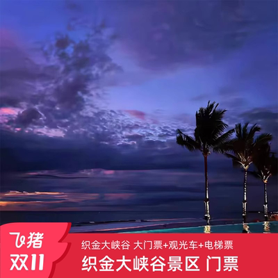 [织金大峡谷-大门票+观光车票+电梯票]织金大峡谷 大门票+观光车票+电梯票