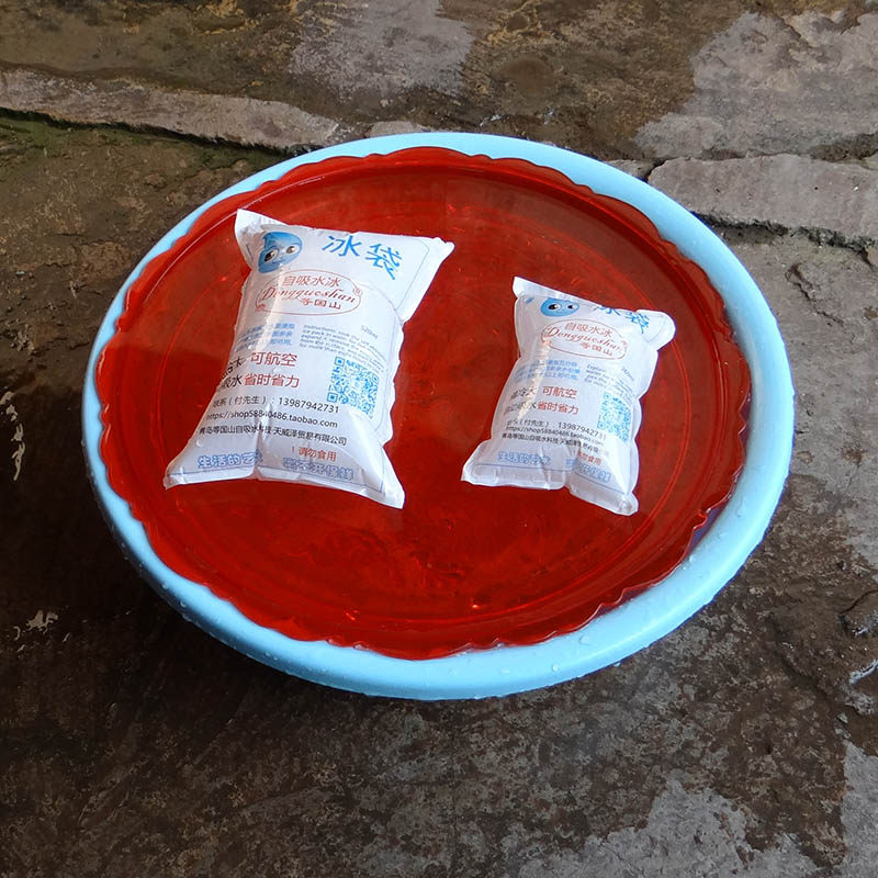 1大格500ml生物航空冰袋樱桃水果食品海鲜保鲜医药冷藏空运干冰包
