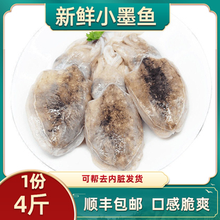 北海新鲜小墨鱼鲜活小鱿鱼速冻小墨鱼仔乌贼海鲜章鱼仔目鱼墨斗鱼