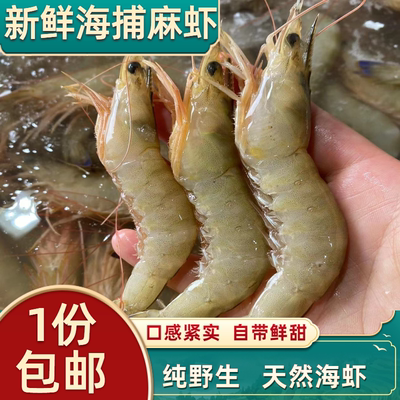 鲜活新鲜海鲜水产冷冻基围虾海虾