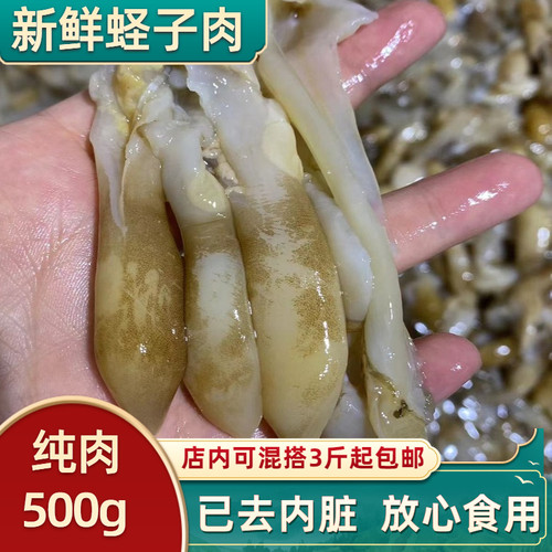 北海新鲜蛏子肉鲜活竹节蛏圣子肉