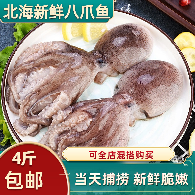 北海八爪鱼鲜活新鲜短腿迷你爆头小八爪冷冻章鱼乌贼海鲜水产包邮,水产肉类/新鲜蔬果/熟食,冷冻章鱼,淘宝优惠券,粉丝福利购,淘宝优惠卷