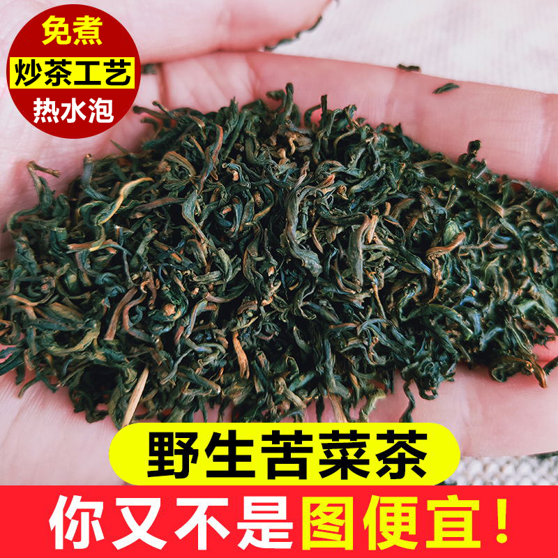 内蒙古野生紫花苦菜根茶树荣