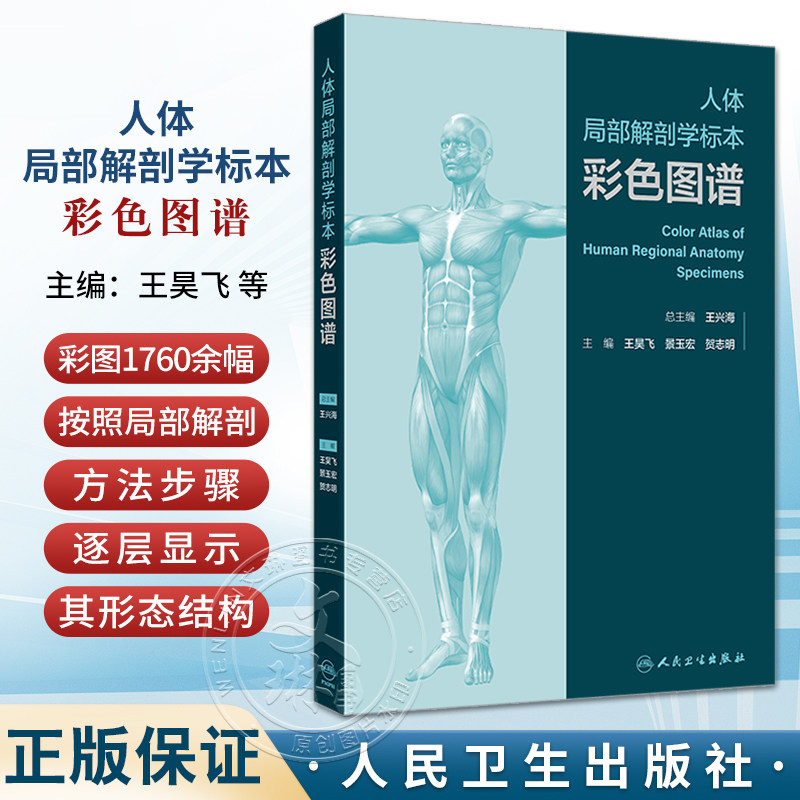 人体局部解剖学标本彩色图谱 头部表面结构 颞下颌关节 小脑的动脉 大脑大静脉及其属支 王昊飞等主编人民卫生出版社9787117354936