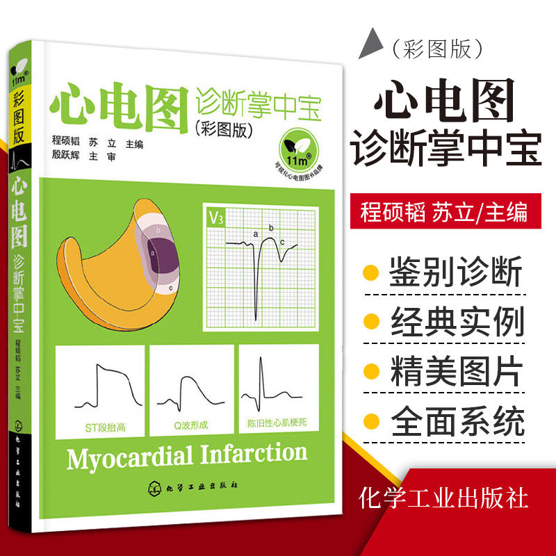 苏立 心电图图形各种波段识别测量临床医师看心电图方法技巧 临床心电