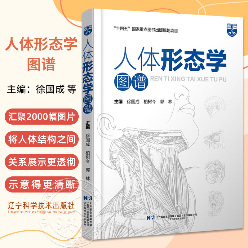 人体形态学图谱 十四五国家重点图书规划项目 钟世镇院士推荐脑膜中动脉大脑主要沟回的体表投影 辽宁科学技术出版社9787559136602