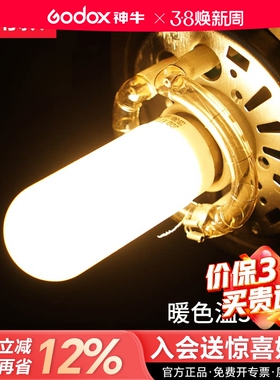 75w/150w/250w闪光灯摄影造型灯泡闪客 SK400W II DP600W适用神牛金贝影棚摄影灯影室灯E27螺纹口通用型