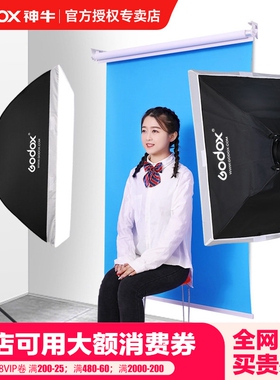 godox神牛200W摄影灯摄影棚柔光灯拍摄证件照相灯静物摄影单灯头证件照人像形象照摄影棚单反相机闪光灯